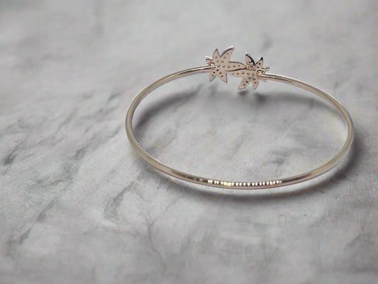 Silver Rose Gold Single Hand Bangle - Star Life