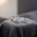 92.5 Silver Earrings for Daily wear | Fish Charm